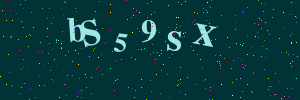 Validation image